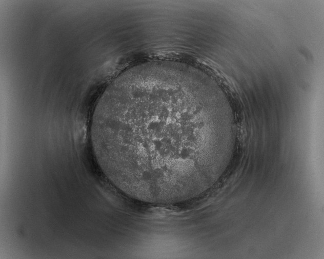 X0000116790703200912311917