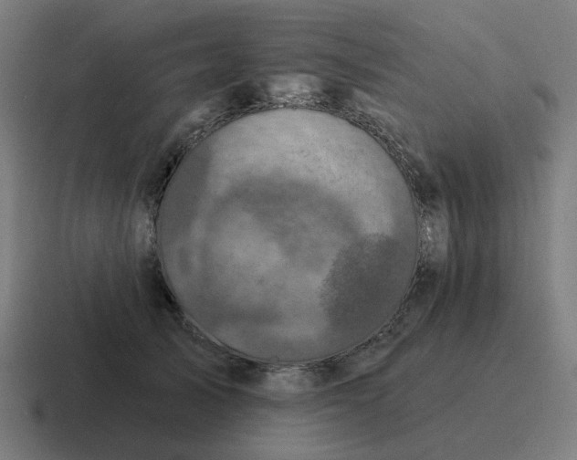 X0000116790705200912311917