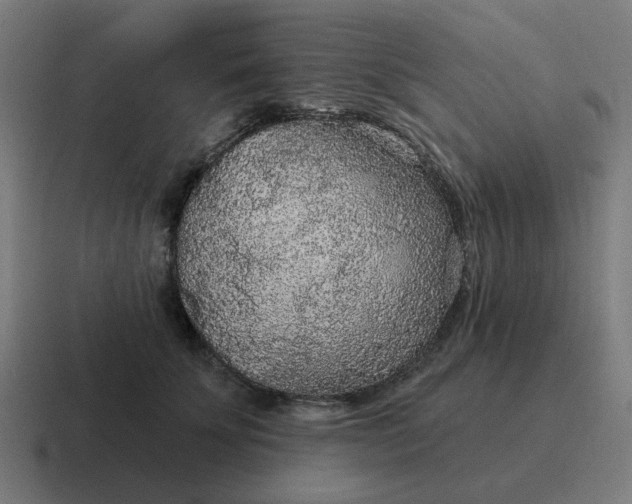 X0000116790707200912311917