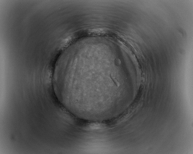 X0000116790708200912311917