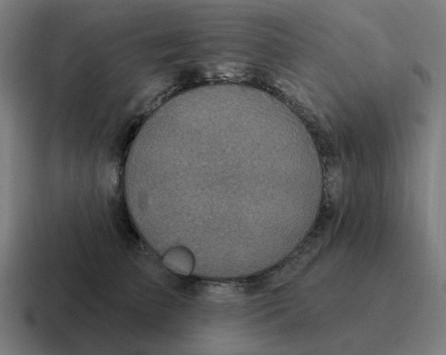 X0000116790709200912311917