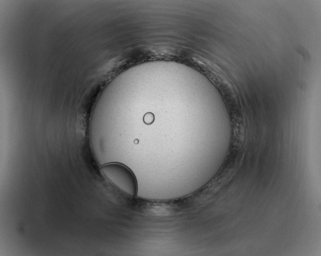 X0000116790710200912311917