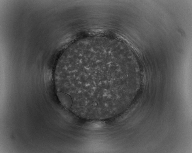 X0000116790711200912311917