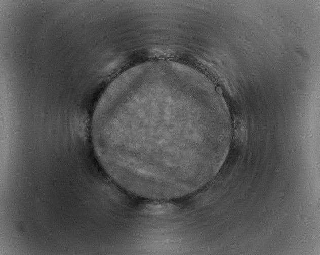 X0000116790712200912311917