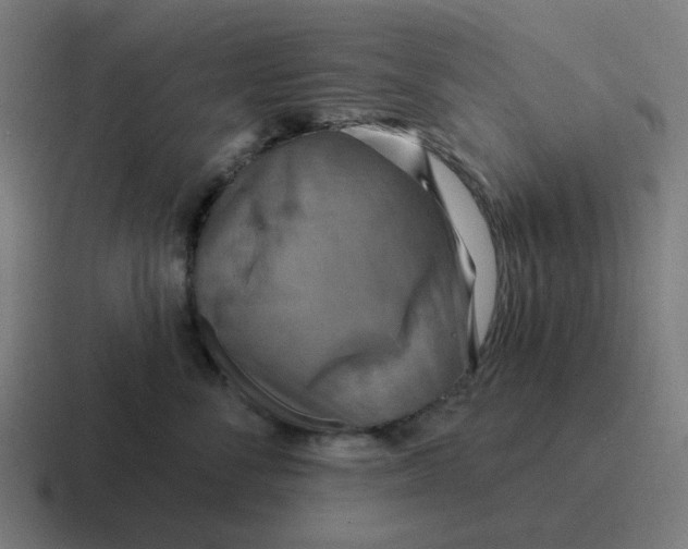 X0000116790716200912311917