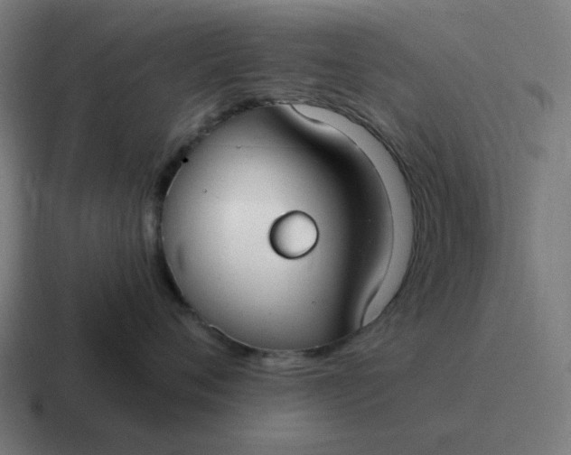 X0000116790720200912311917