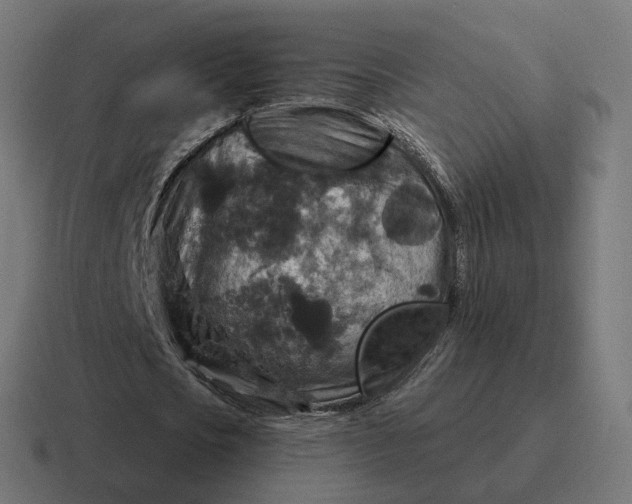 X0000116790721200912311916