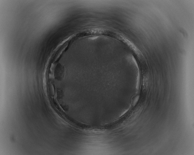 X0000116790722200912311916