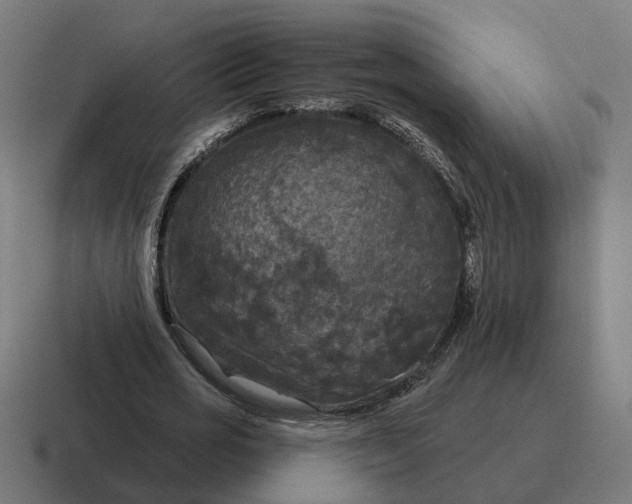 X0000116790725200912311916