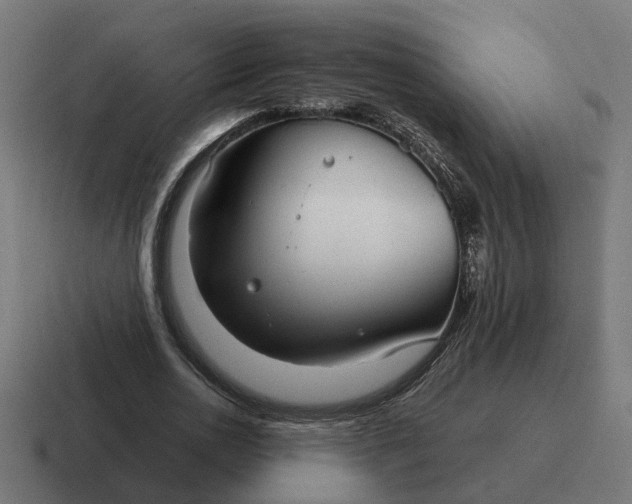 X0000116790726200912311916