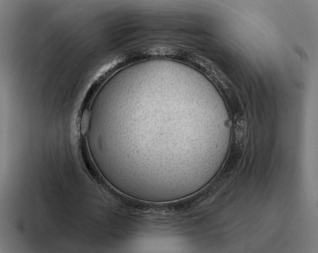 X0000116790727200912311916