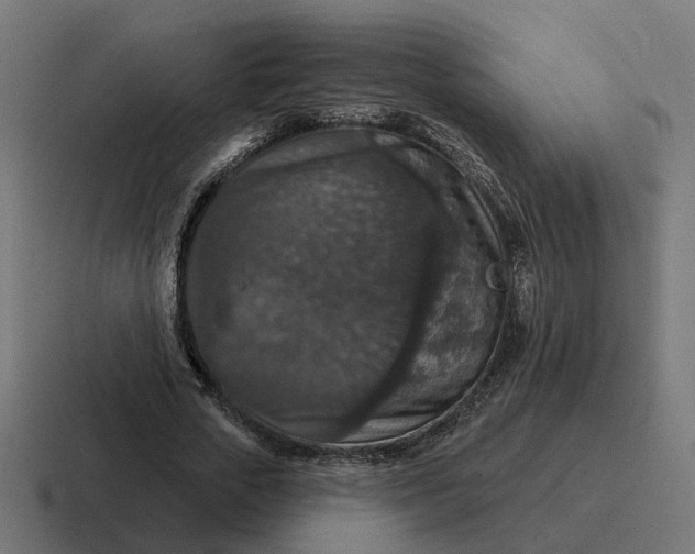 X0000116790729200912311916