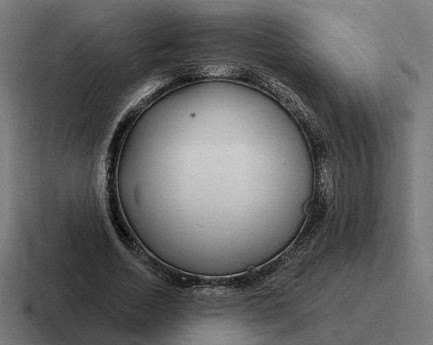 X0000116790730200912311916