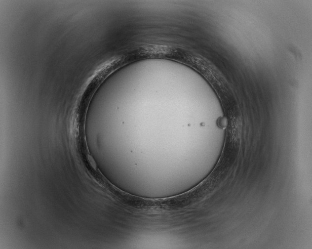 X0000116790731200912311916