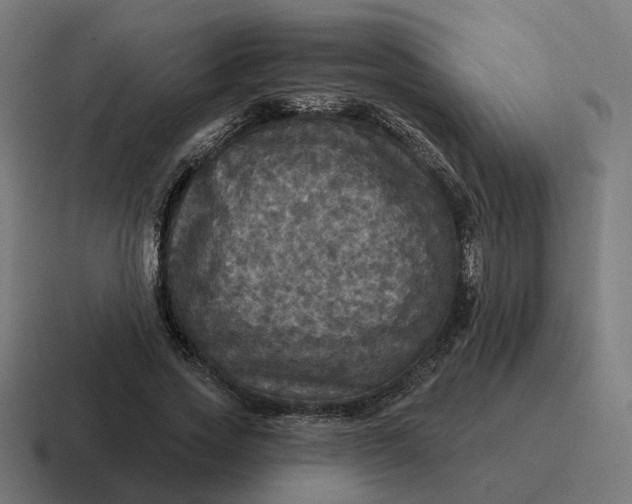 X0000116790733200912311916