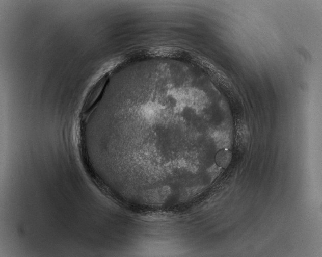 X0000116790734200912311916