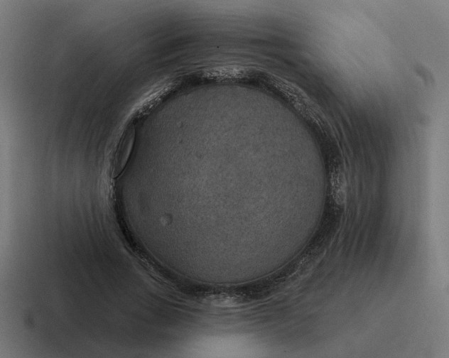 X0000116790735200912311916