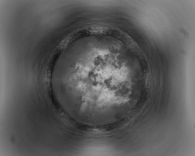 X0000116790737200912311916