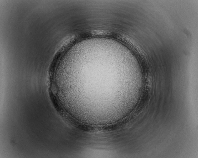 X0000116790738200912311916