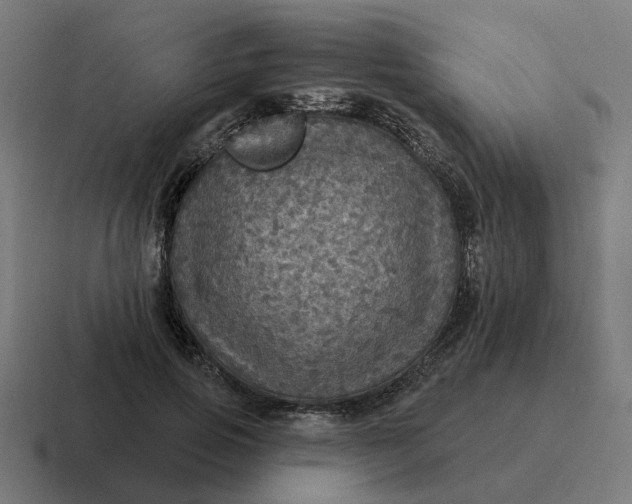 X0000116790741200912311916