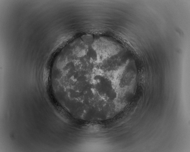 X0000116790742200912311916