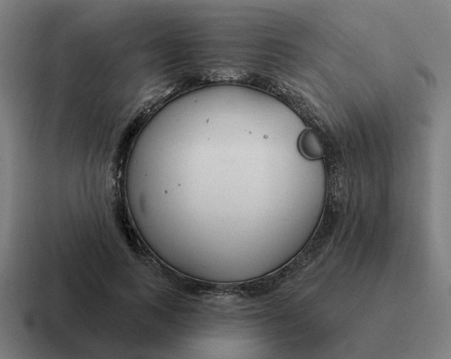 X0000116790743200912311916