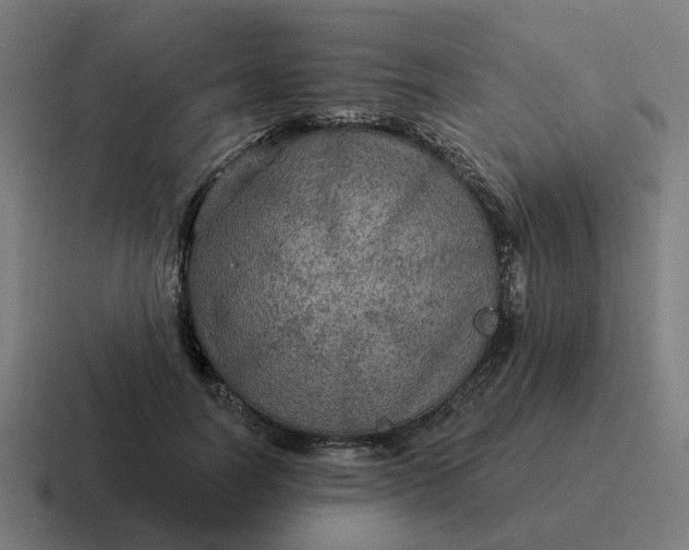 X0000116790746200912311916