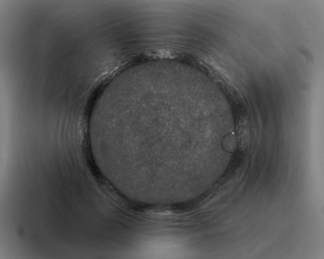 X0000116790747200912311916