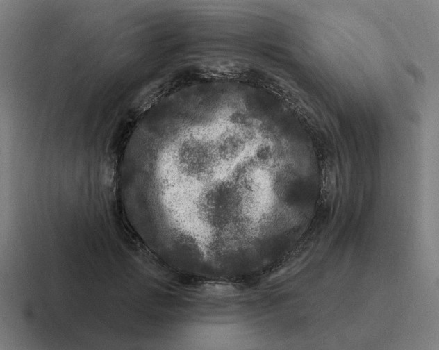 X0000116790749200912311916