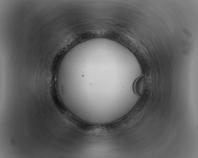 X0000116790750200912311916