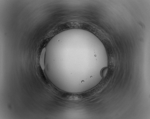 X0000116790751200912311916