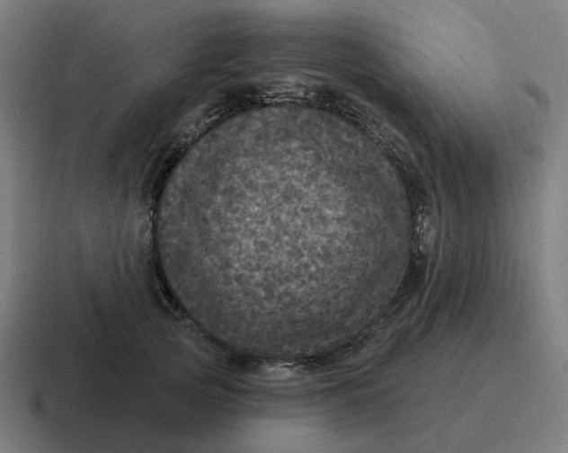 X0000116790753200912311916