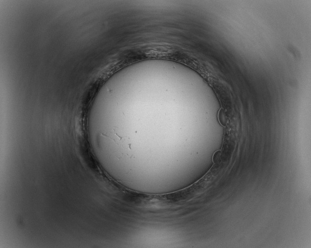 X0000116790755200912311916