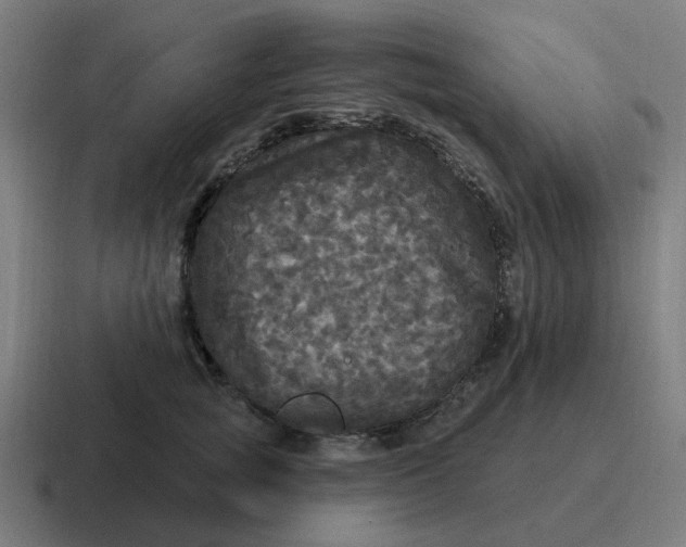 X0000116790757200912311916