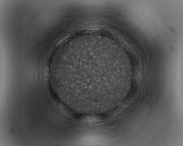 X0000116790758200912311916