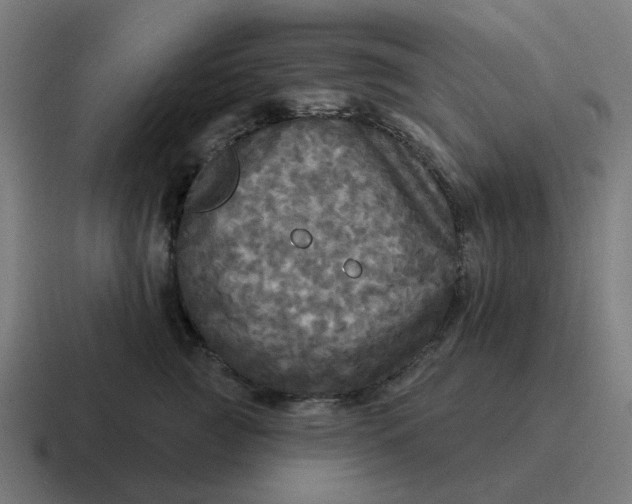 X0000116790761200912311917