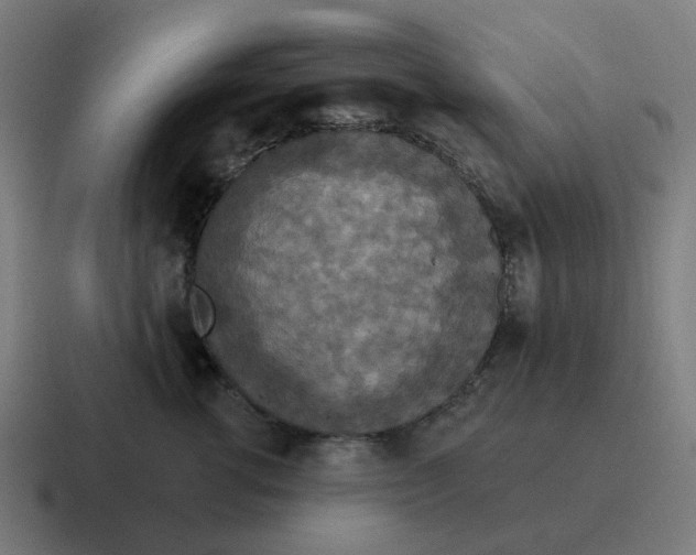 X0000116790762200912311917