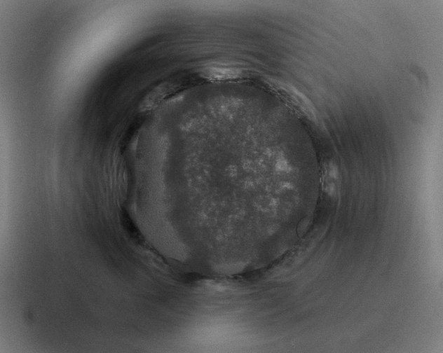 X0000116790763200912311917