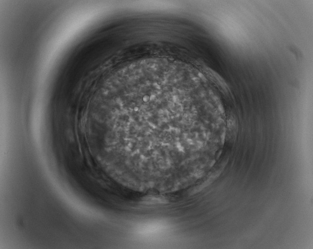 X0000116790765200912311917