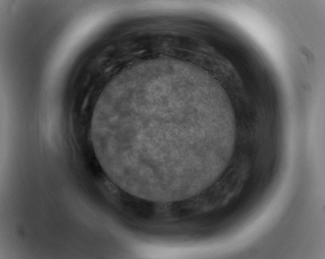 X0000116790766200912311917