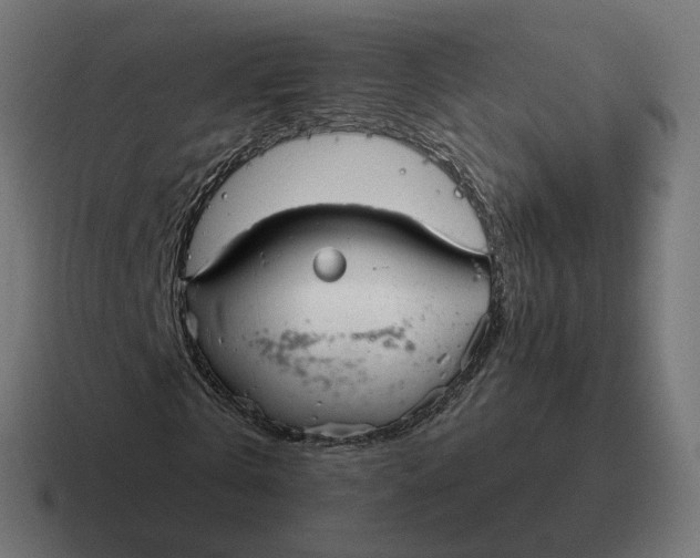 X0000116790769200912311916