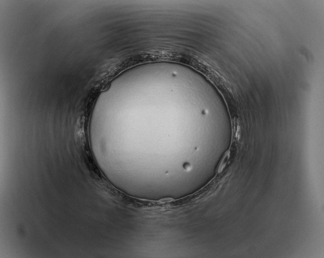 X0000116790771200912311916