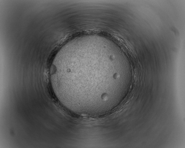 X0000116790772200912311916