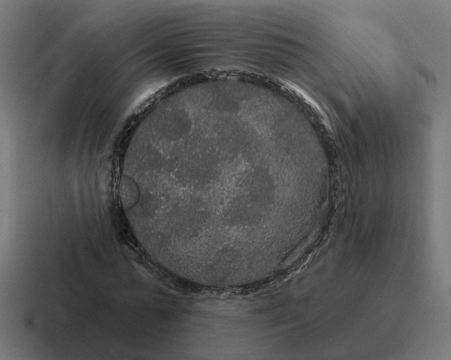 X0000116790775200912311916