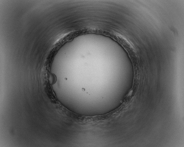 X0000116790776200912311916