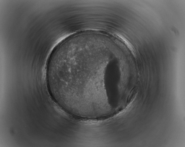 X0000116790779200912311916