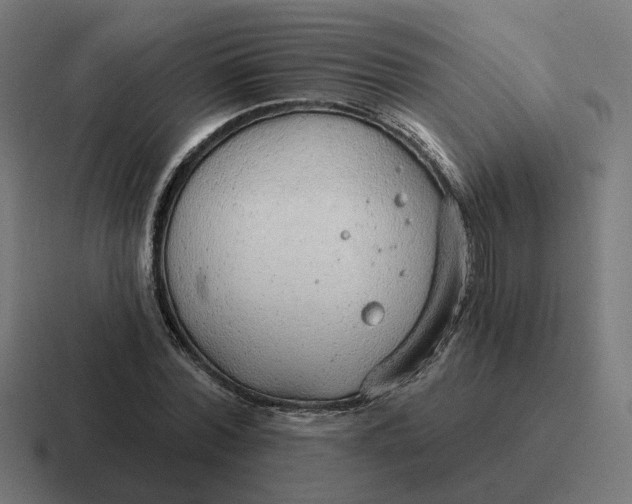 X0000116790780200912311916