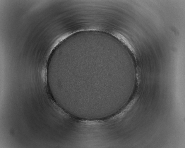 X0000116790781200912311916