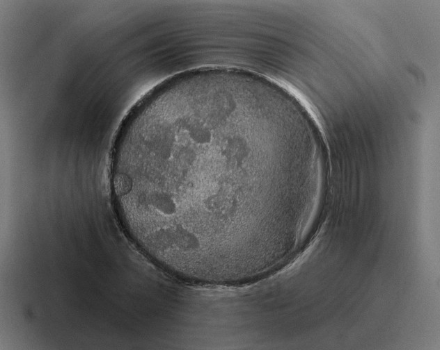 X0000116790783200912311916