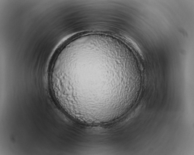 X0000116790784200912311916